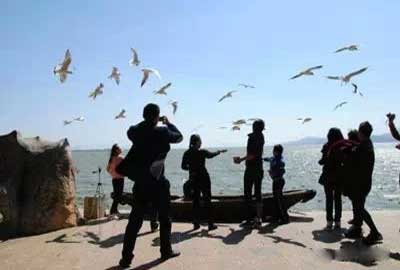 冬天去昆明哪里看海鷗？海埂公園.jpg