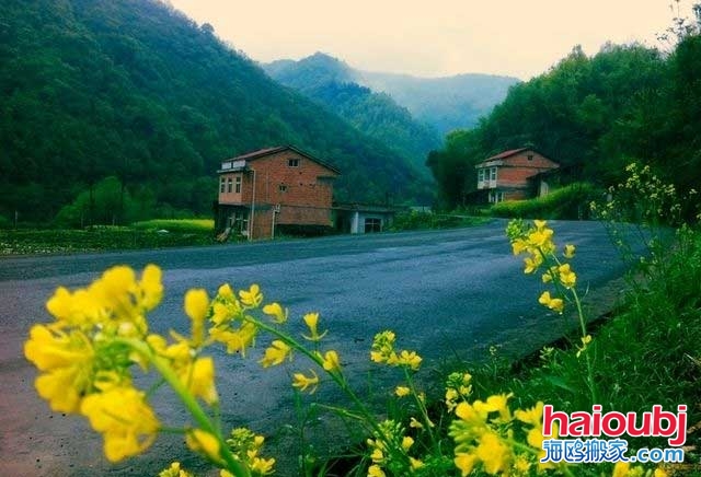 多虧鄉(xiāng)下婆婆來(lái)照顧兒媳，才知道家具甲醛超標(biāo)兒子決定搬家啦.jpg