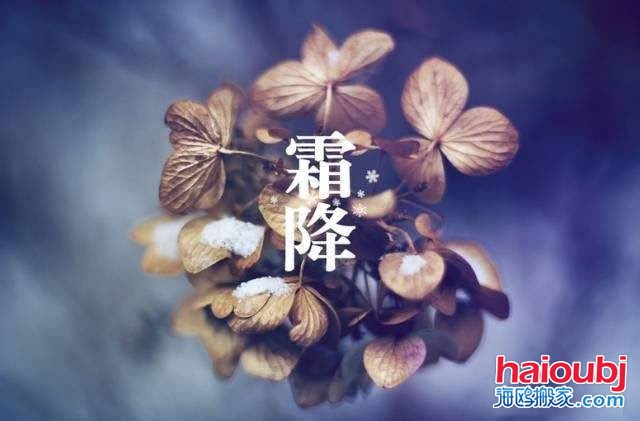 2019年霜降的第二天可以搬家嗎，如果搬家需要注意些什么？.jpg